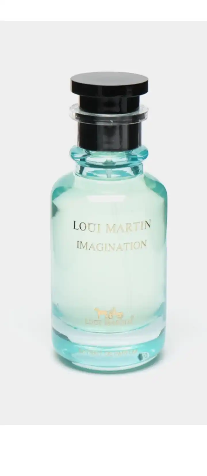 Parfumlangan suv erkaklar uchun Loui Martin Imagination