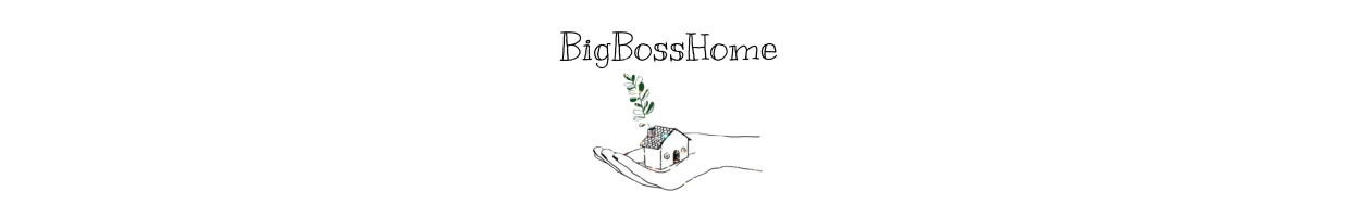 Big Boss Home