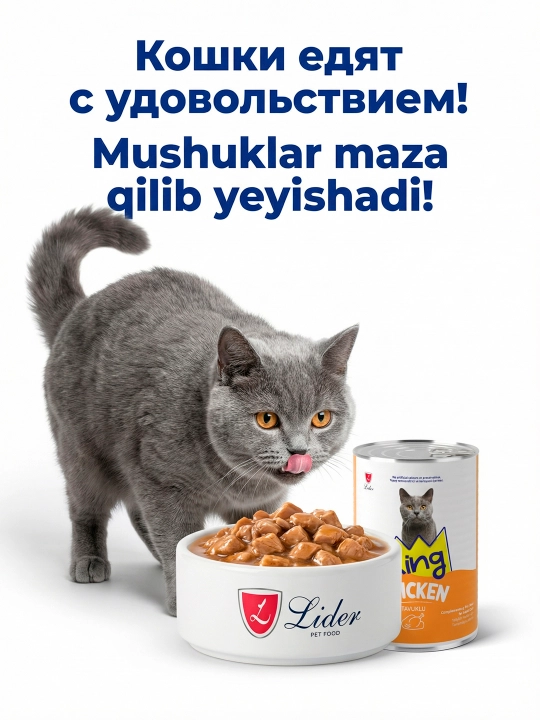 Влажный корм для кошек, 400 гр, аппетитные кусочки в соусе, курица и лосось