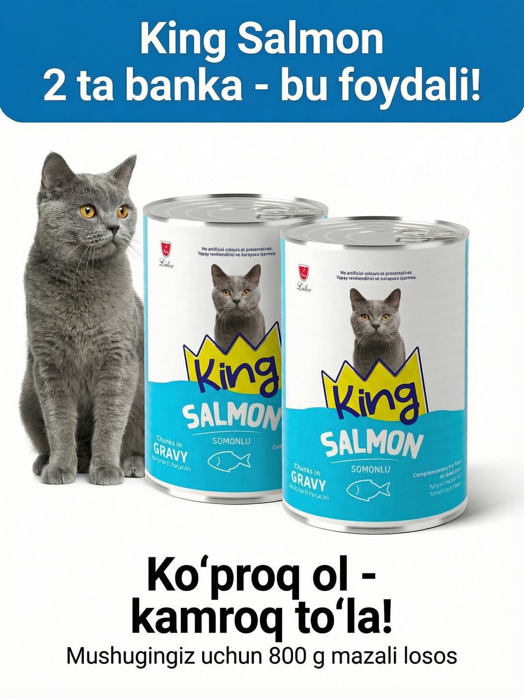 Влажный корм для кошек, 400 гр, аппетитные кусочки в соусе, курица и лосось - 