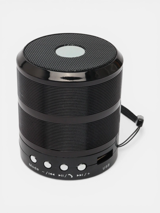Portativ dinamik karnay WS-887, Bluetooth, TF, Aux, Mini karnay