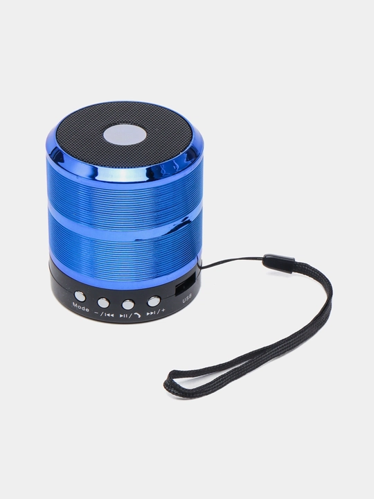 Portativ dinamik karnay WS-887, Bluetooth, TF, Aux, Mini karnay