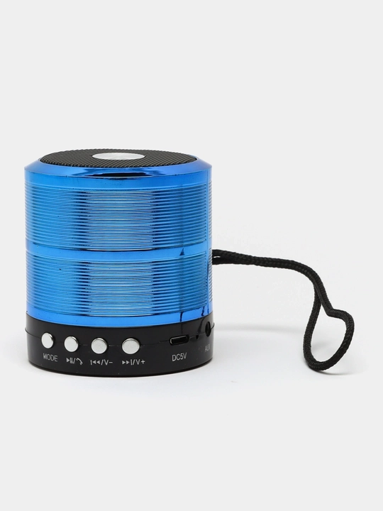 Portativ dinamik karnay WS-887, Bluetooth, TF, Aux, Mini karnay