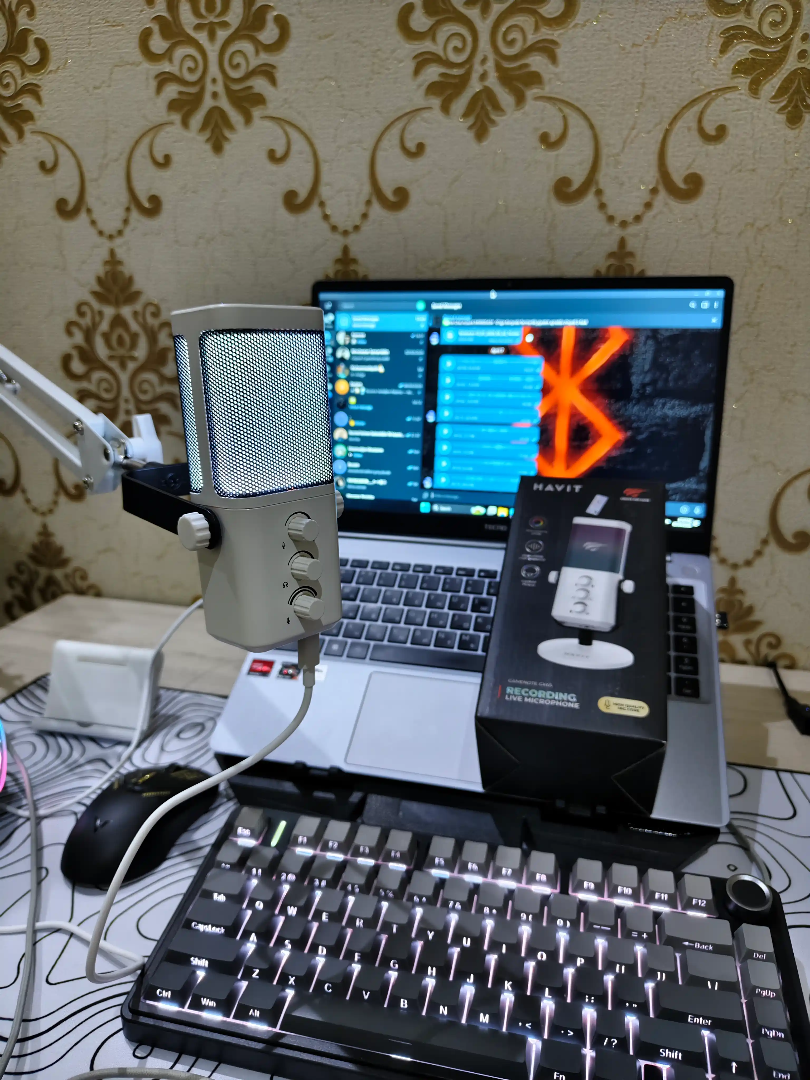 HAVIT GK65 GAMING MIKROFON