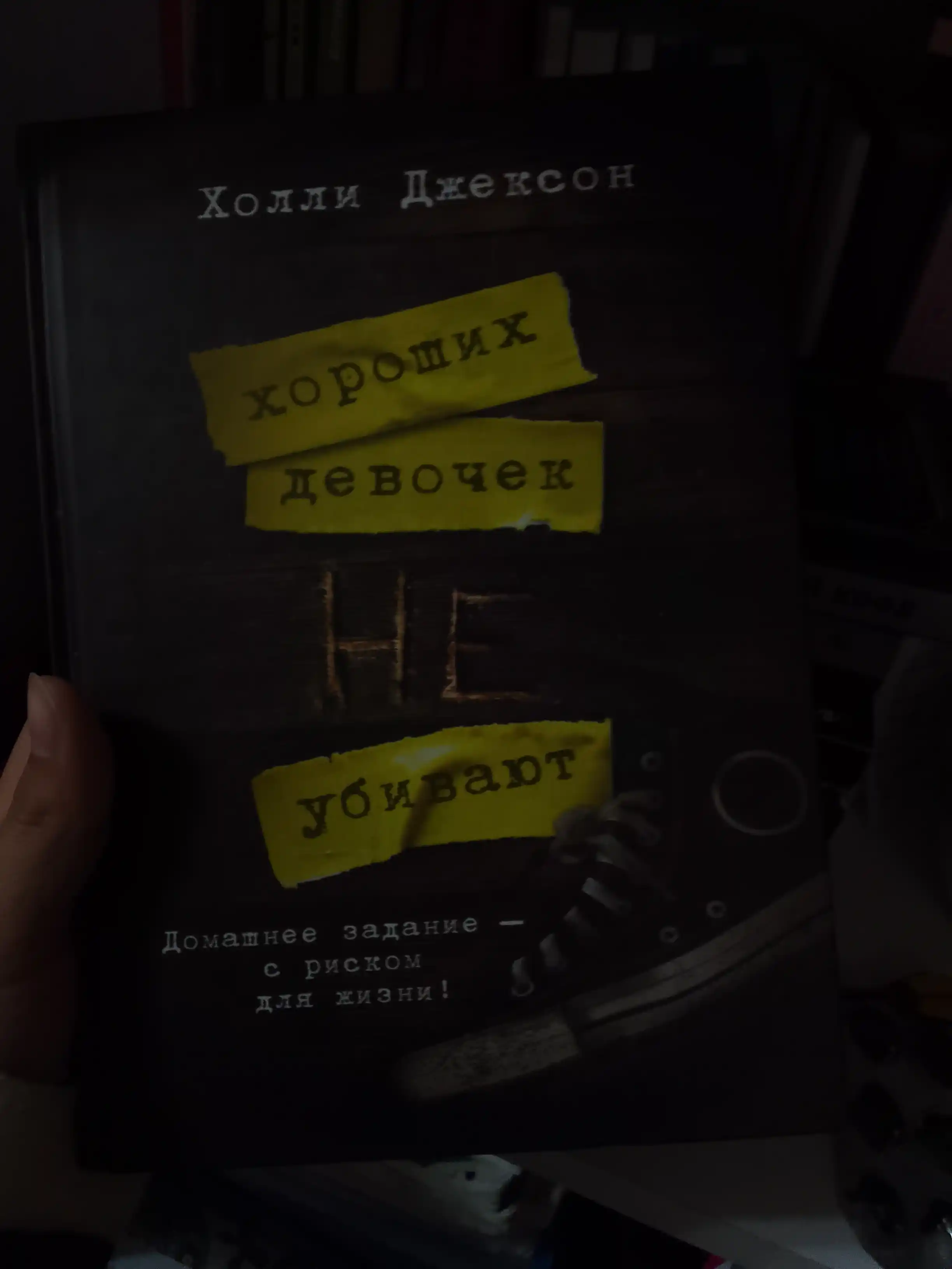 Трилогия Холли Джексон, серия Хороших девочек не убивают, Джексон Холли