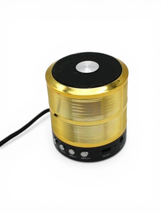 Portativ dinamik karnay WS-887, Bluetooth, TF, Aux, Mini karnay