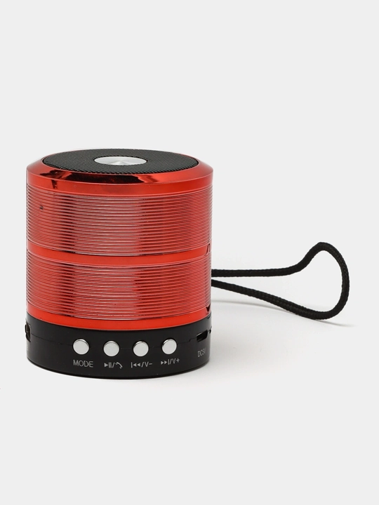 Portativ dinamik karnay WS-887, Bluetooth, TF, Aux, Mini karnay