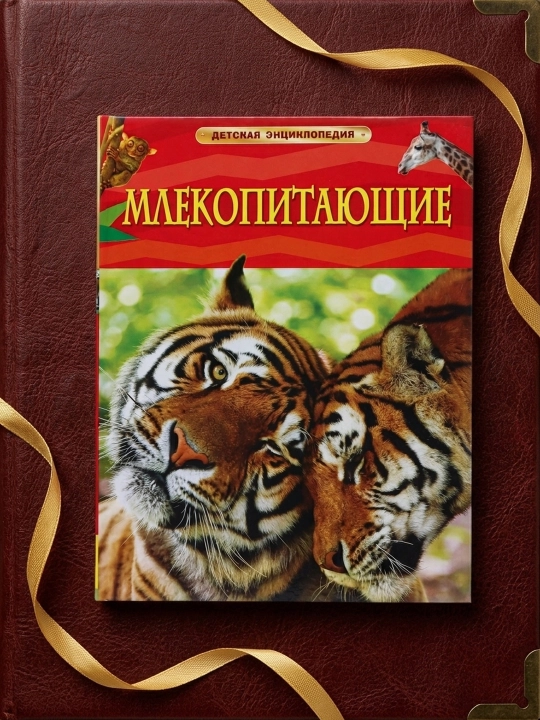 Sutemizuvchilar. Devid Berni