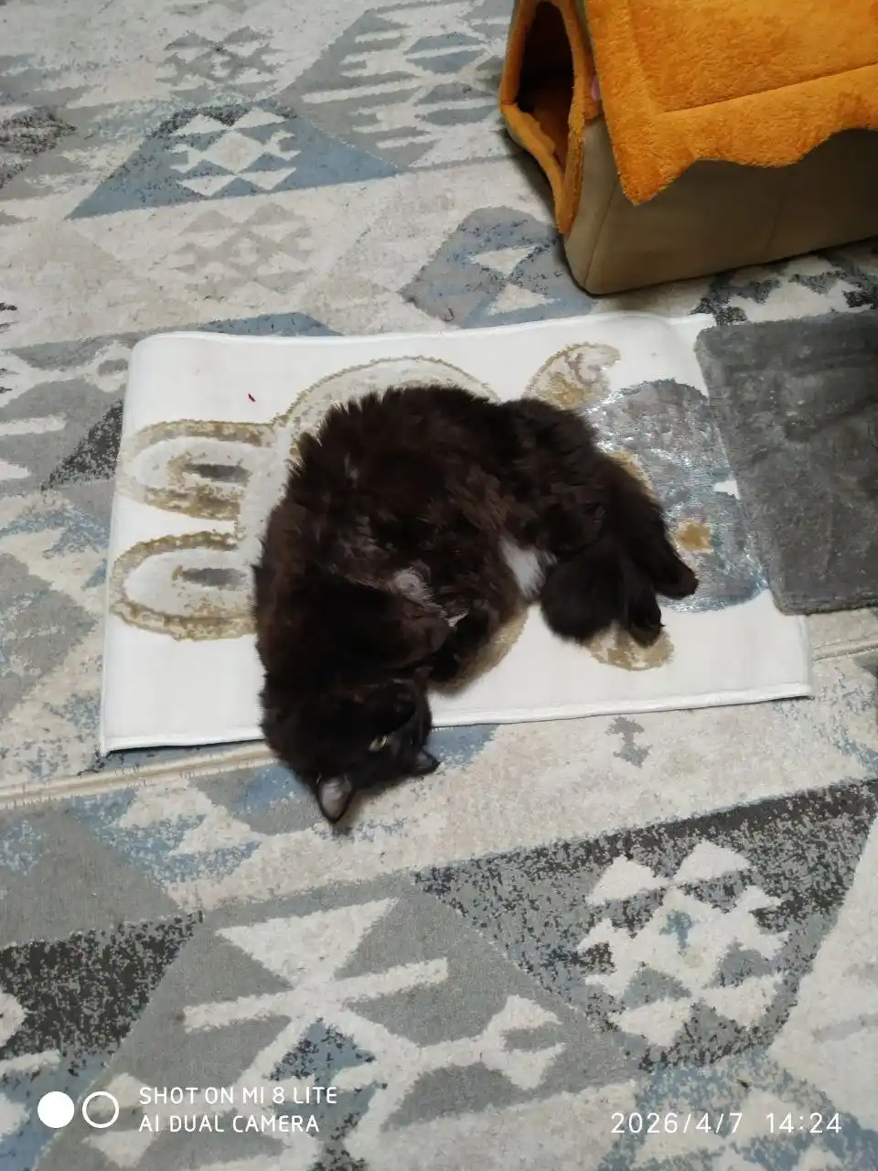 Labubu dizyanli dekorativ gilam