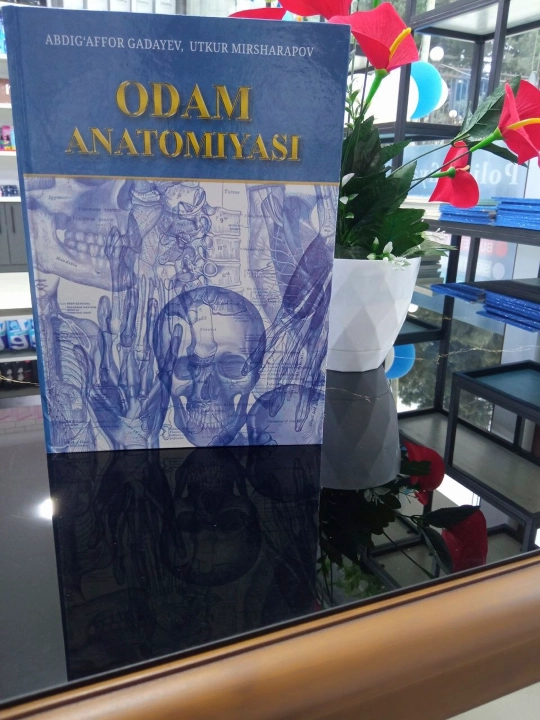 Odam anatomiyasi — A. Gadayev