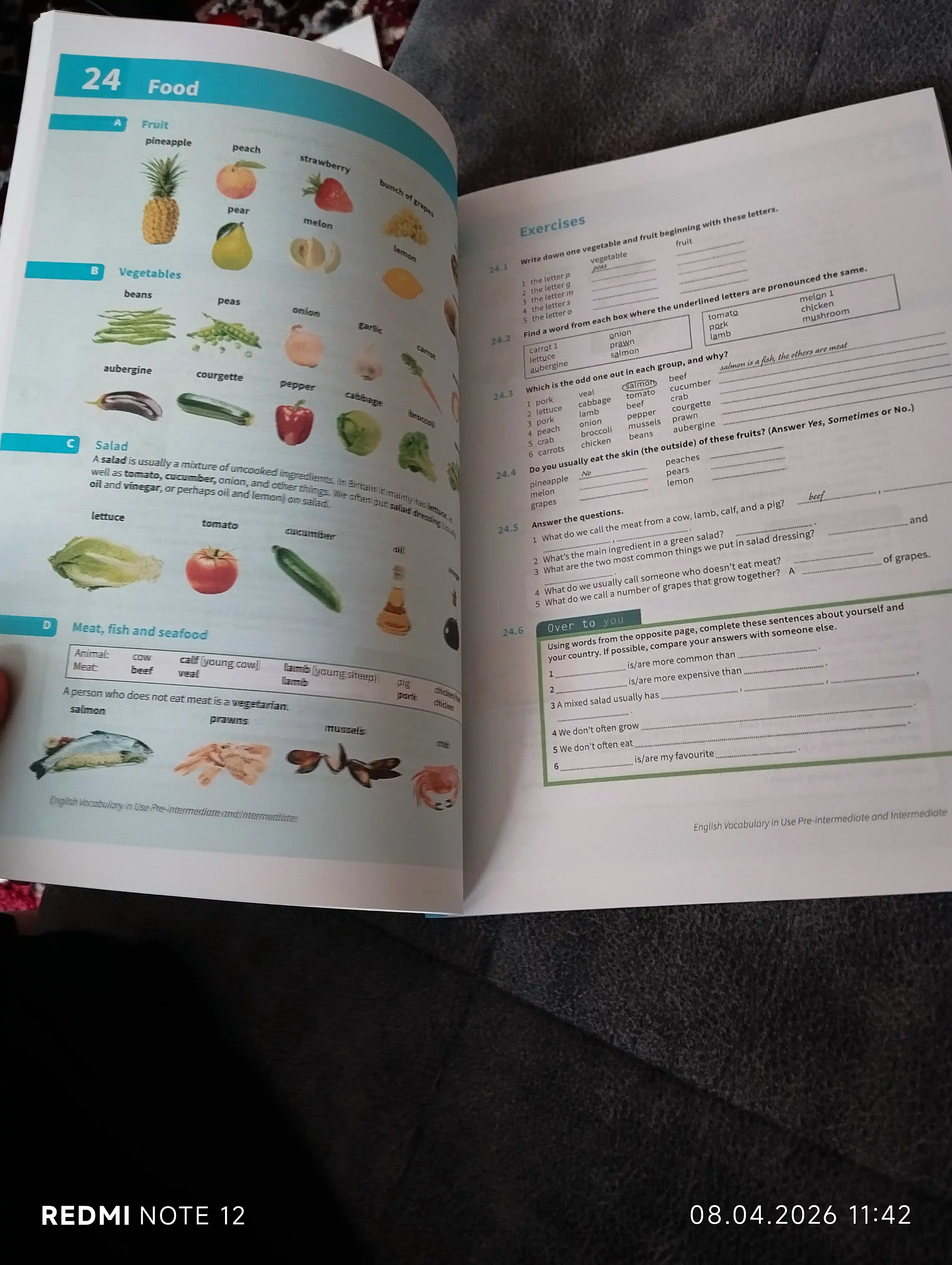 English Vocabulary in Use (A4 Format)