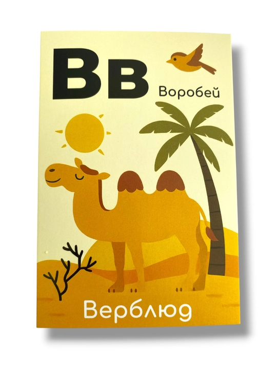Развивающие карточки для детей «Алфавит и цифры», формат А6