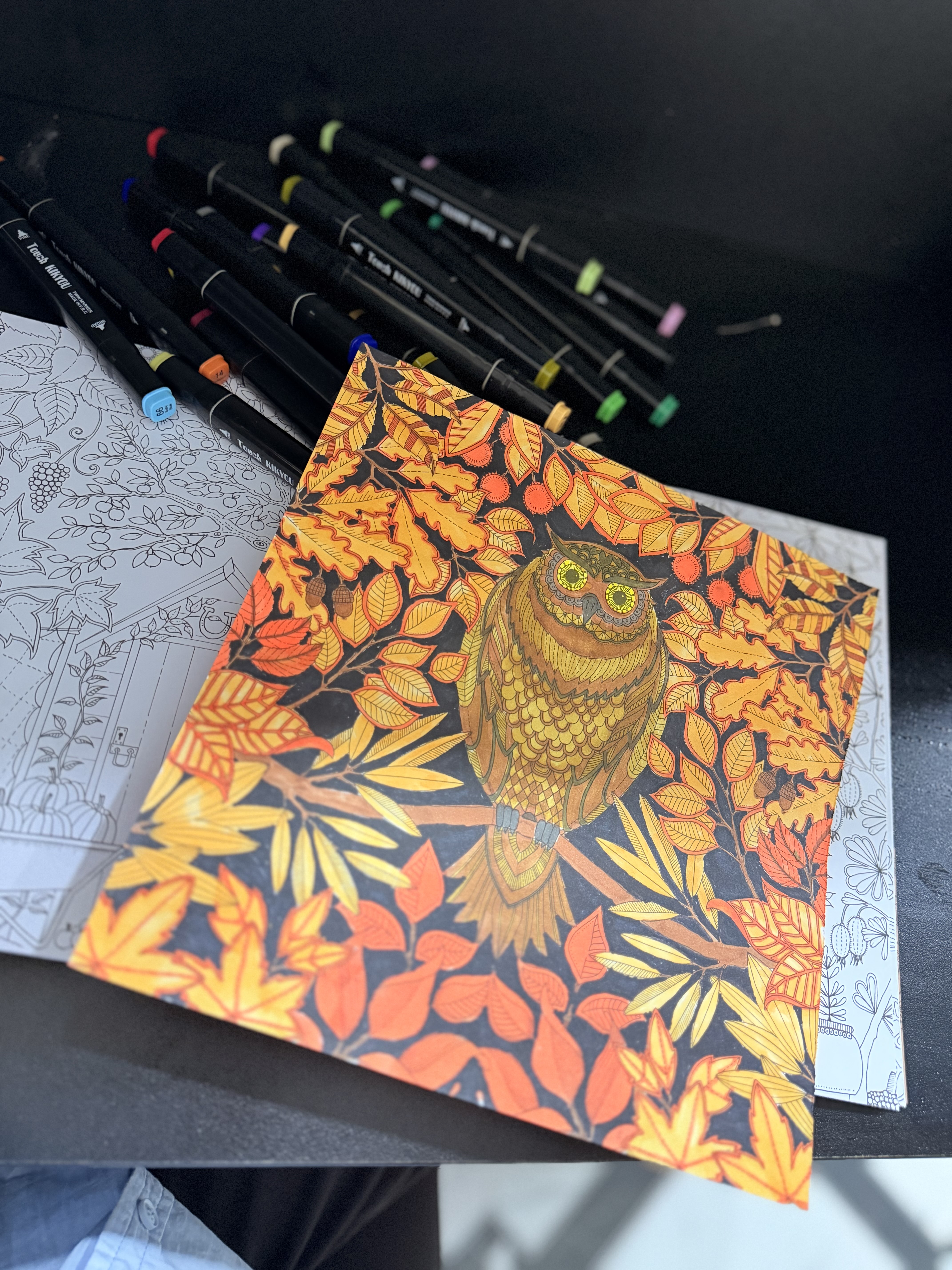 Mandala, anti-stress, boyash kitobi, raskraska, kattalar uchun, 96 bet, Secret garden