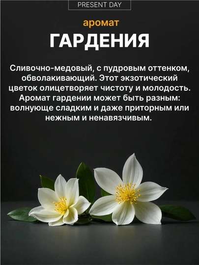Ароматизатор в машину гелевый SAMEILI — SAMAVTO-SAMEILI-ЛАВАНД