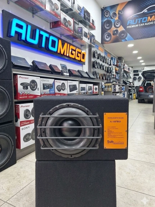 O'rnatilgan zavod kuchaytirgichi va qutisi bilan INTELIGENT BASS A-10PRO faol sabvufer - 