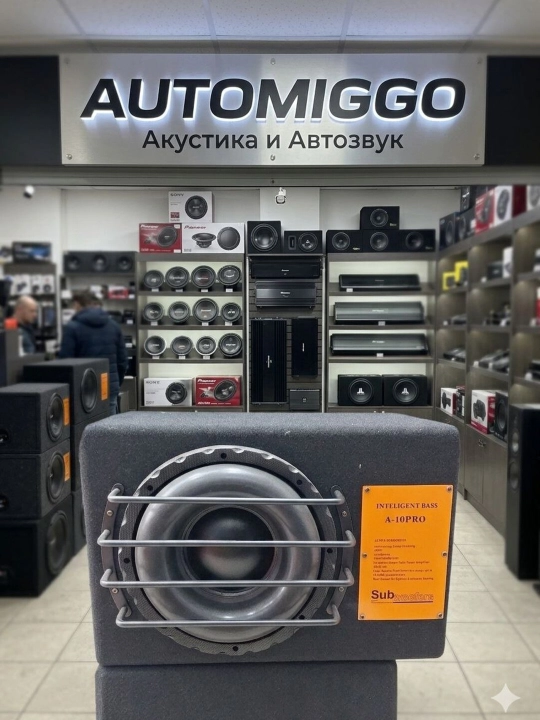Активный сабвуфер INTELIGENT BASS A-10PRO со встроенным заводским усилителем и коробкой