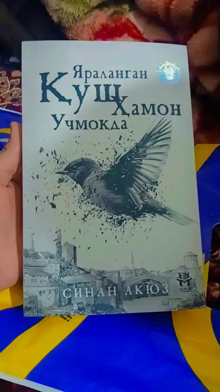 Yaralangan qush hamon uchmoqda, Sinan Akyuz