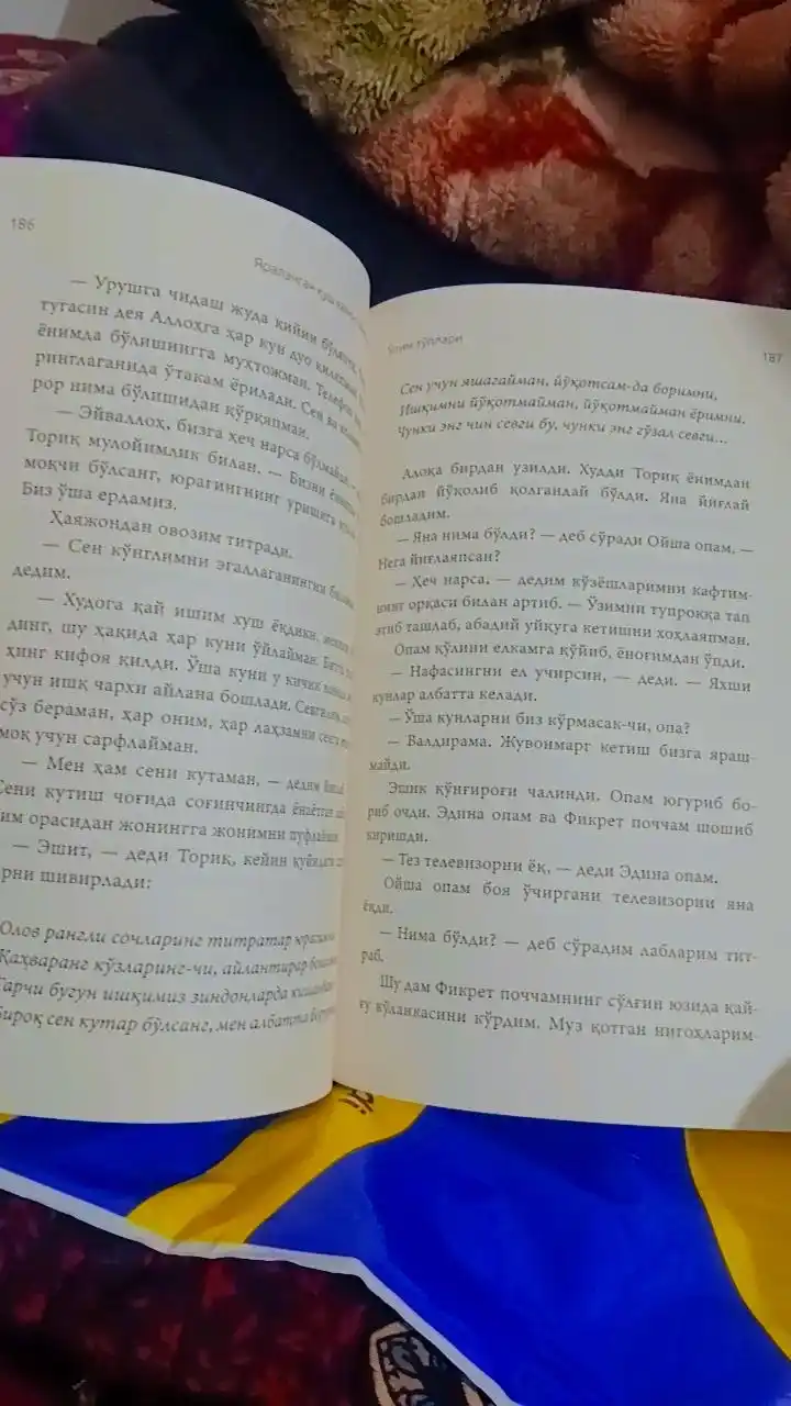 Yaralangan qush hamon uchmoqda, Sinan Akyuz