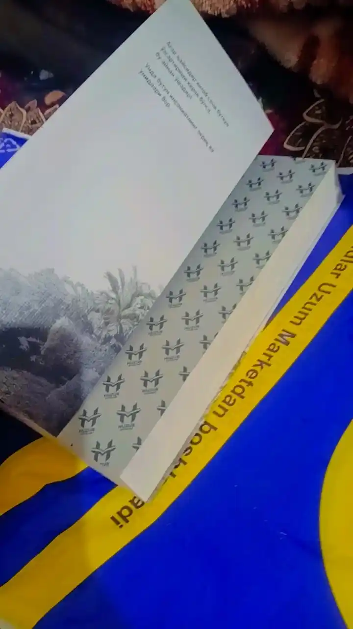 Yaralangan qush hamon uchmoqda, Sinan Akyuz