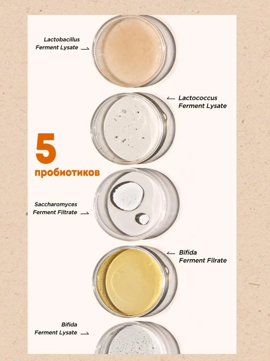Lizatlar bilan yoshartiruvchi sirovotka Manyo Bifida Biome Complex Ampoule