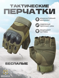 Золотистый хаки