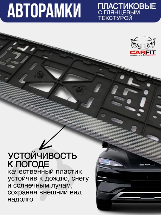 Под номерная для госномера карбон ( комплект )