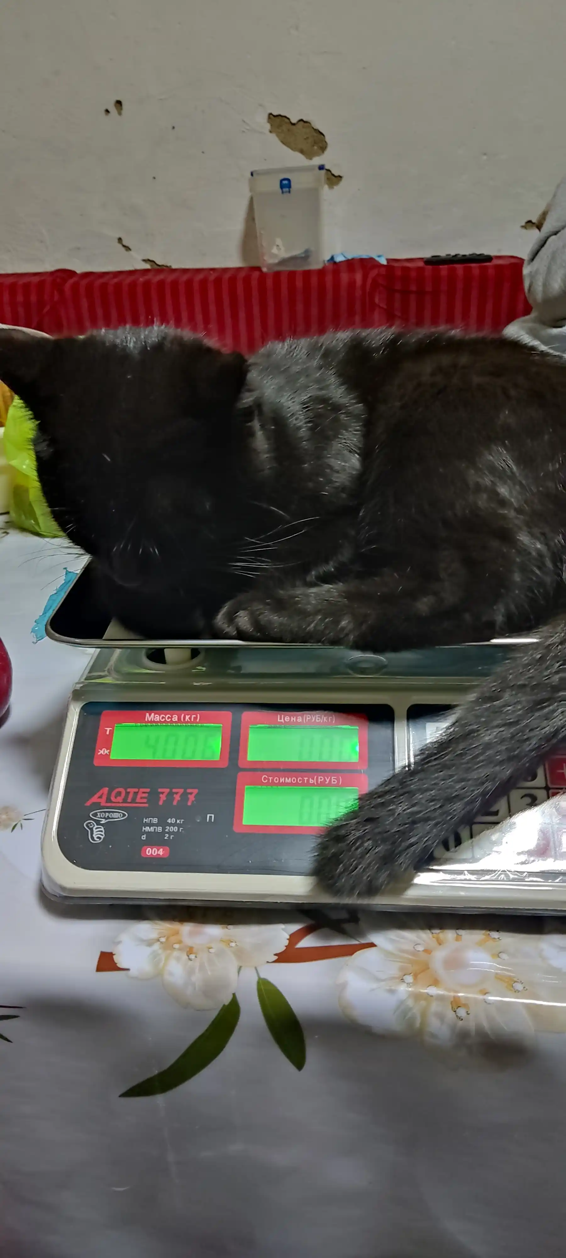Elektron savdo tarozisi 40 kg — zanglamaydigan po'lat platforma, batareyali