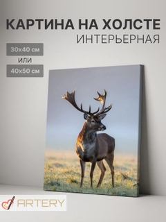 Лайм