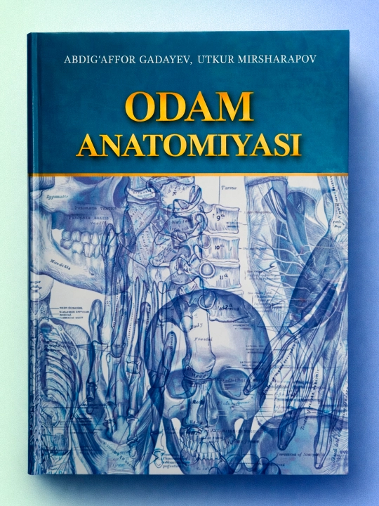 Odam anatomiyasi — A. Gadayev - 