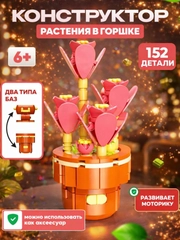 Коралловый
