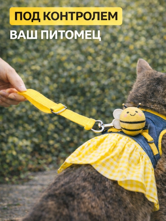 Шлейка для кошек и собак с поводком и платьем, комплект для безопасной прогулки