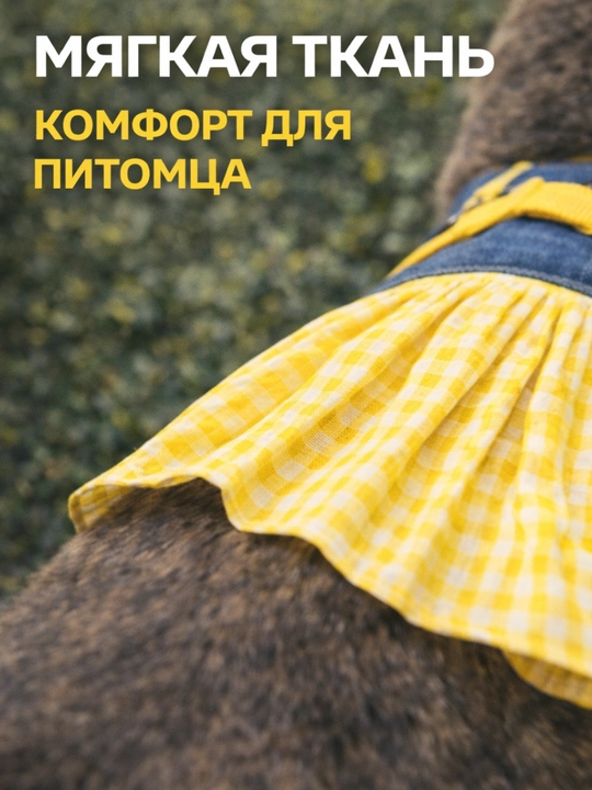 Шлейка для кошек и собак с поводком и платьем, комплект для безопасной прогулки