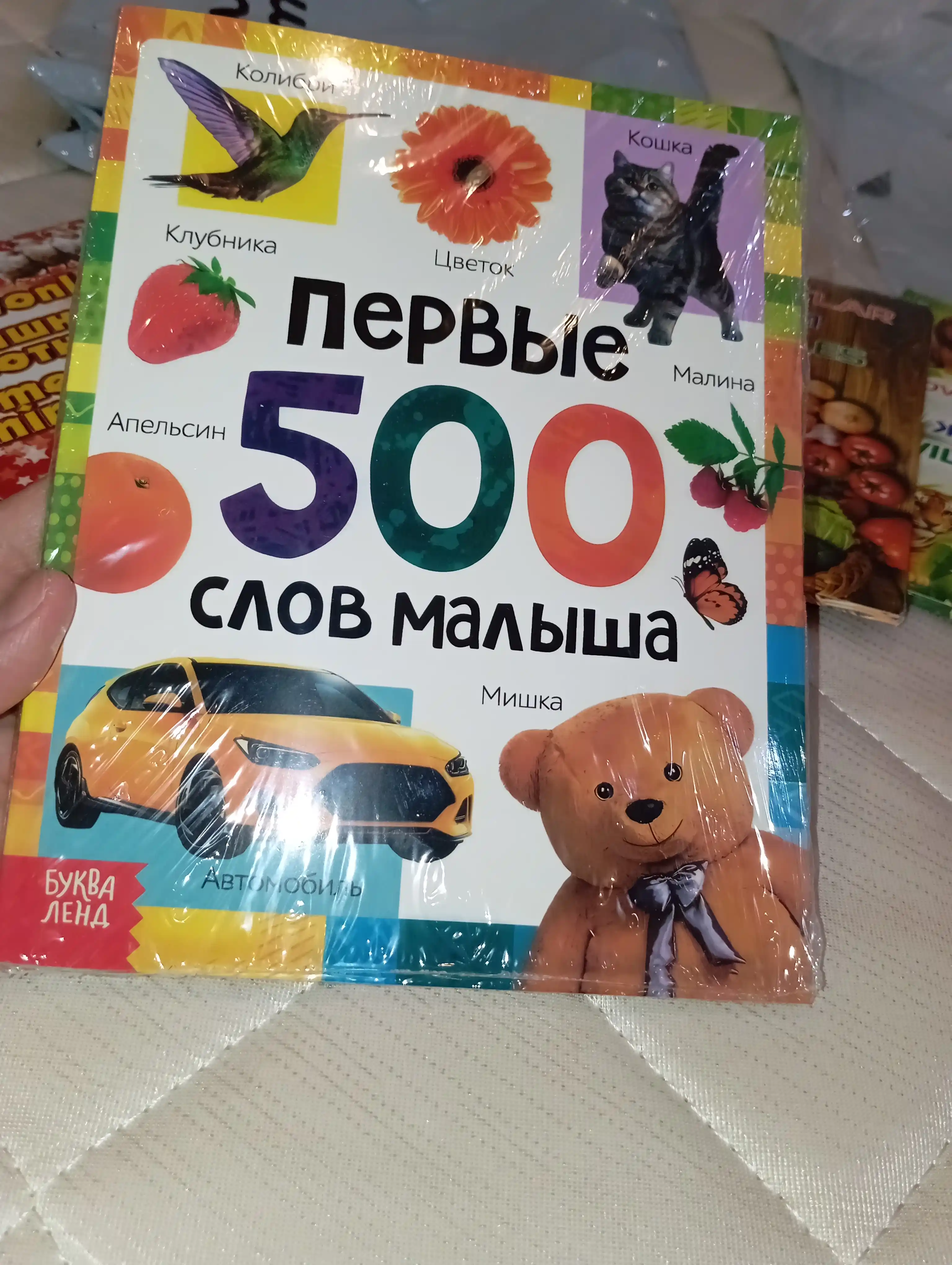 Bolalar uchun rasmali lug'at: Ilk 500 so'z, 80 bet, qattiq muqova, rivojlantiruvchi kitob