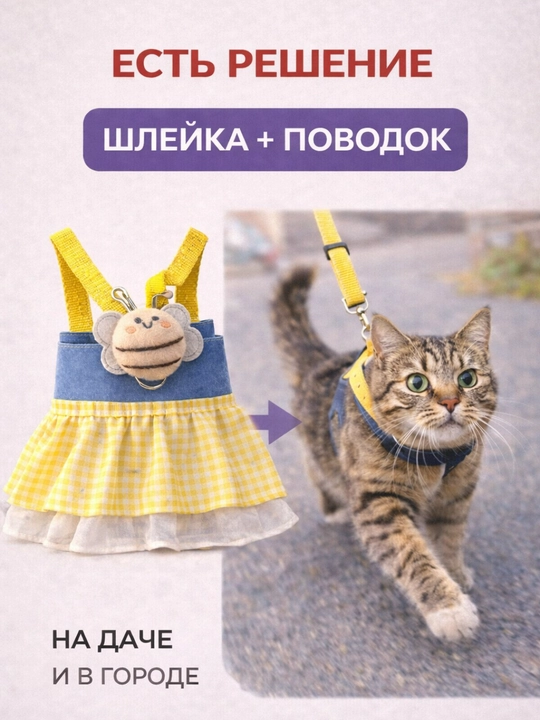 Шлейка для кошек и собак с поводком и платьем, комплект для безопасной прогулки