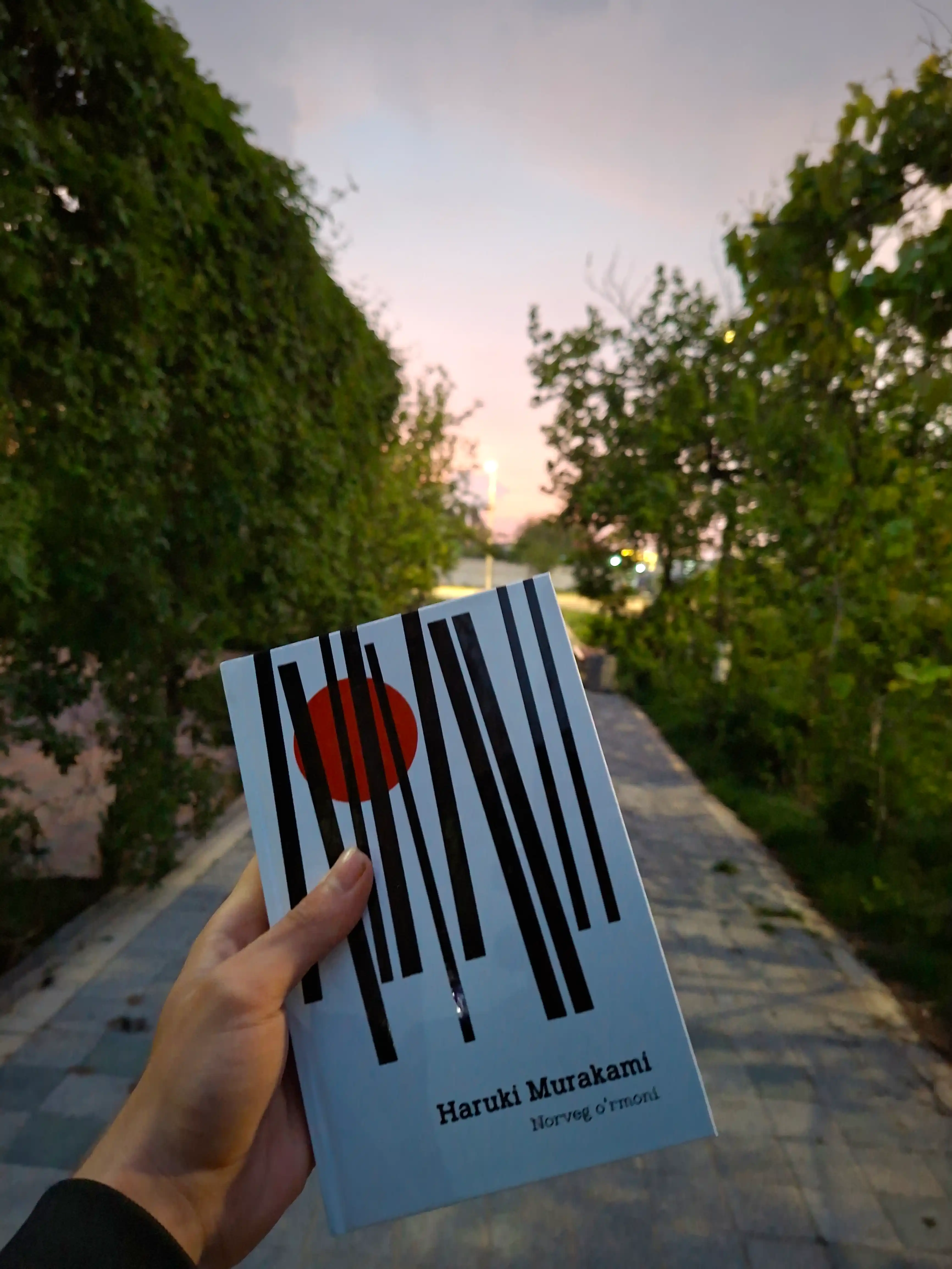 Haruki Murakami — Norveg o‘rmoni yoki Tun zulmati ortida, alohida romanlar