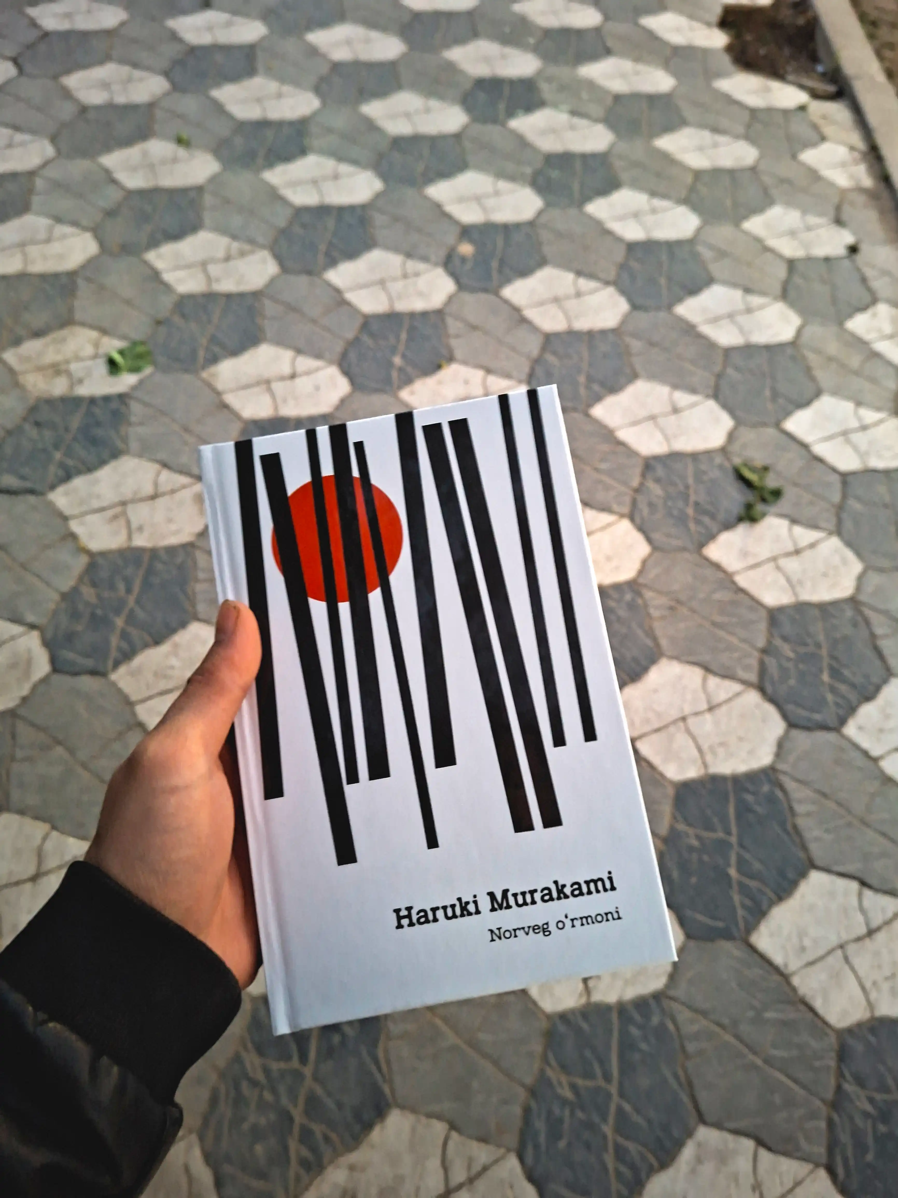 Haruki Murakami — Norveg o‘rmoni yoki Tun zulmati ortida, alohida romanlar