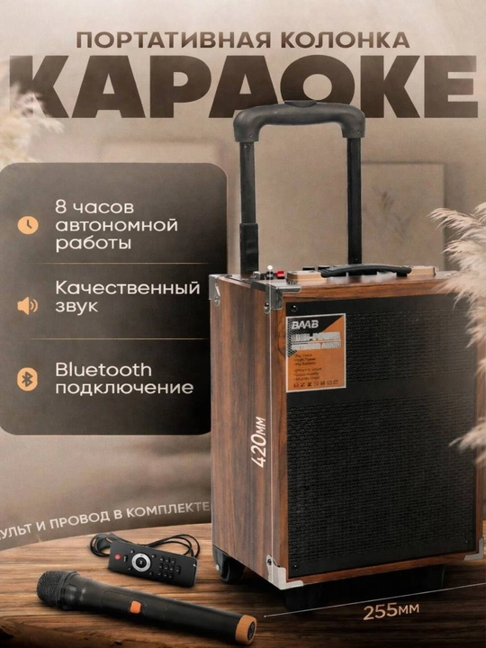Караоке Bluetooth колонка BQ-8, с микрофоном и мощным звуком - 