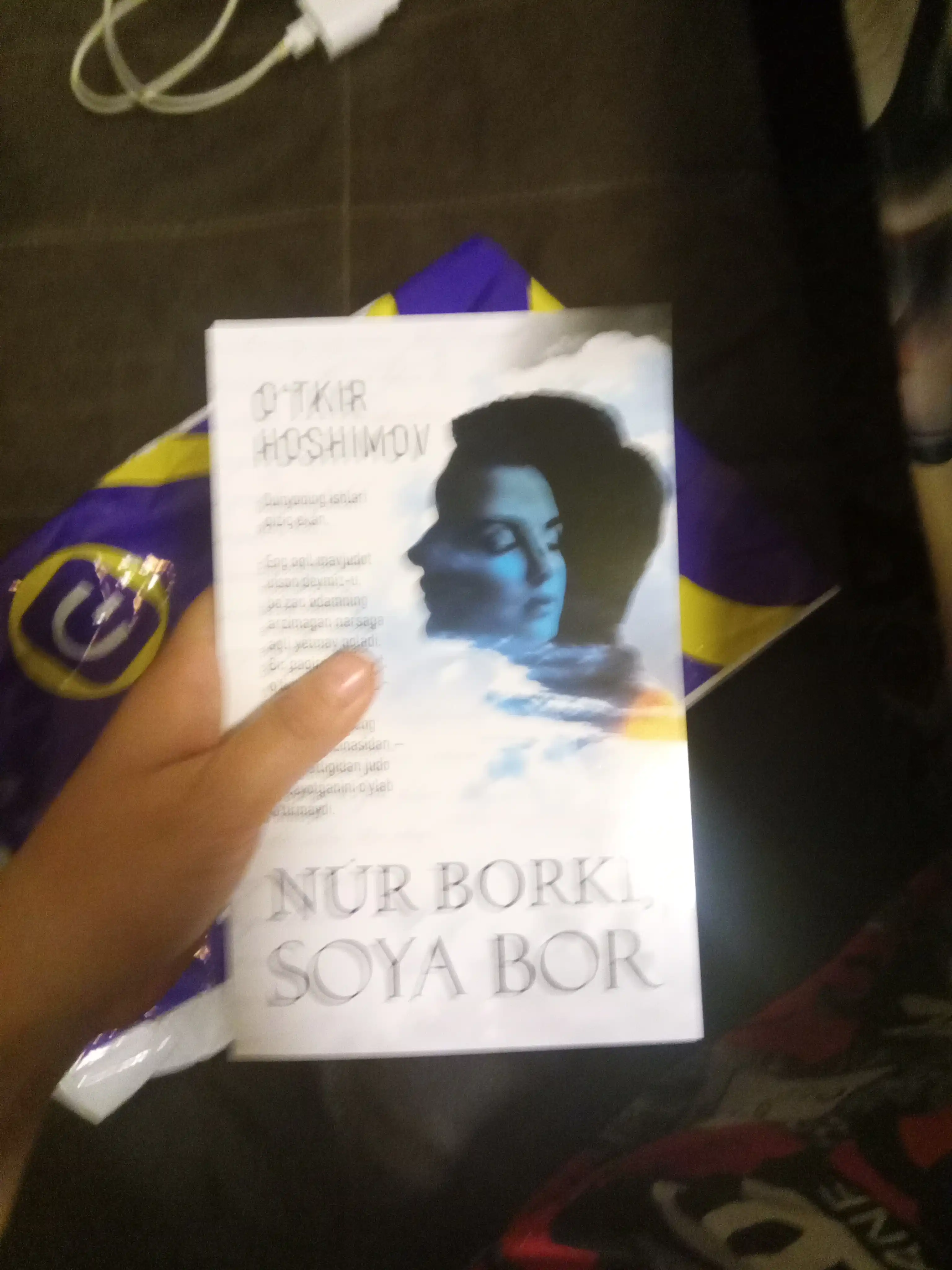 Нур борки, соyа бор