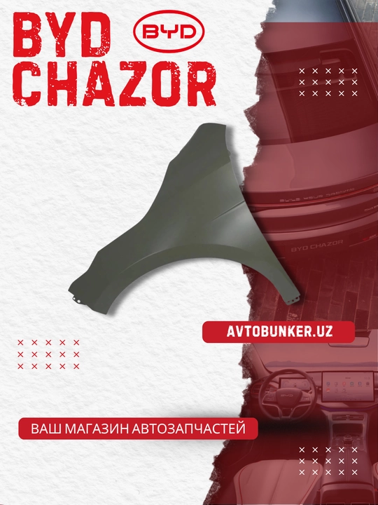 Old chap qanot BYD Chazor (HA2HJ-8403010/77)