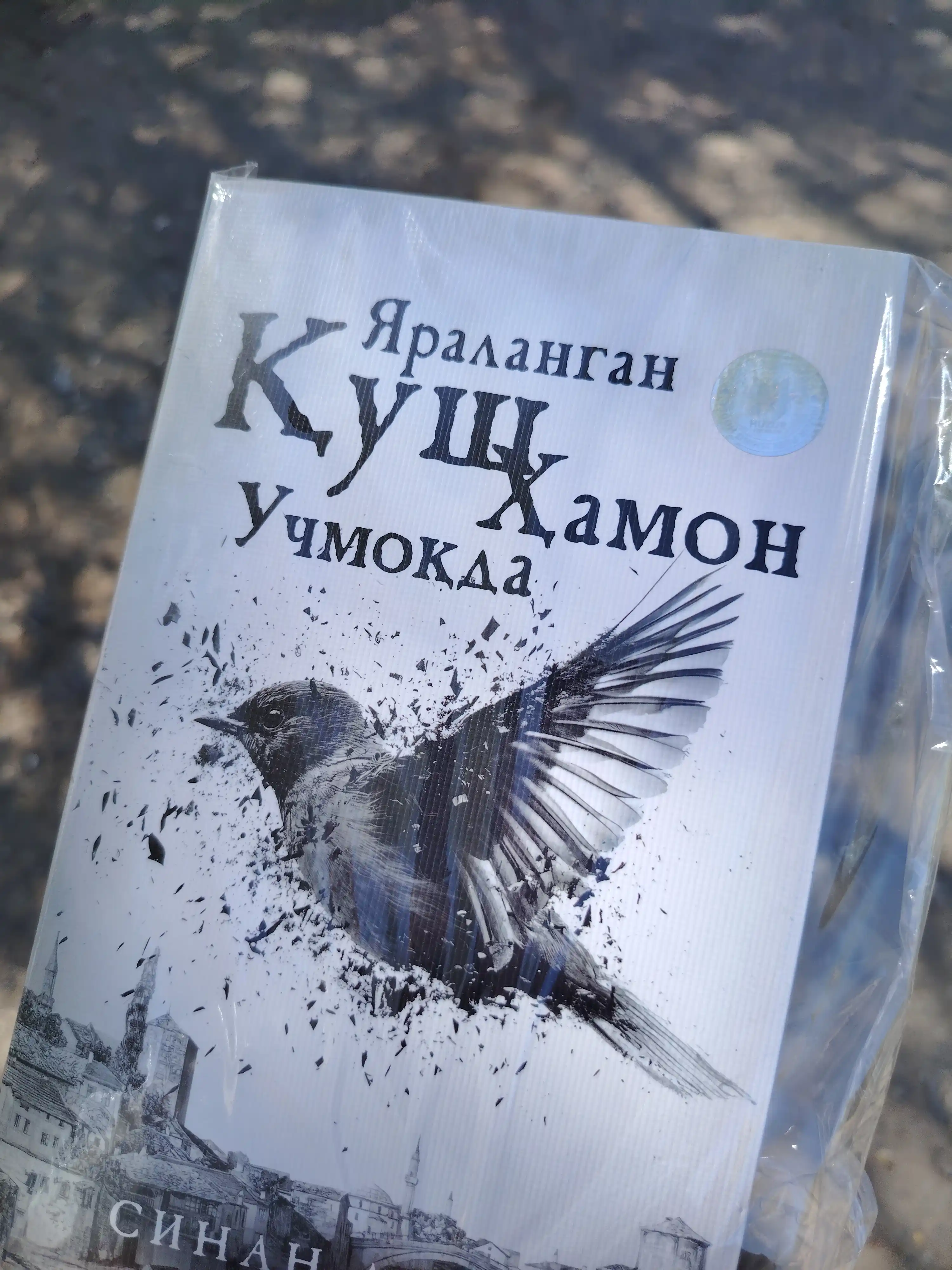 Yaralangan qush hamon uchmoqda, Sinan Akyuz