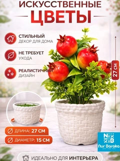 Korall
