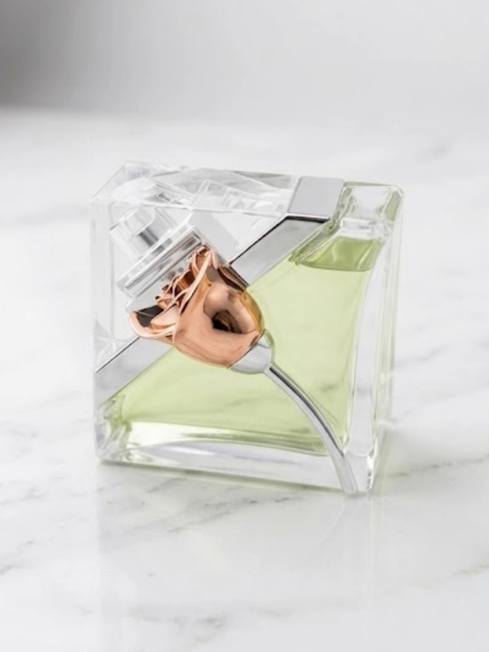 Duxi, ayollar uchun parfum, atirlar, 100ml