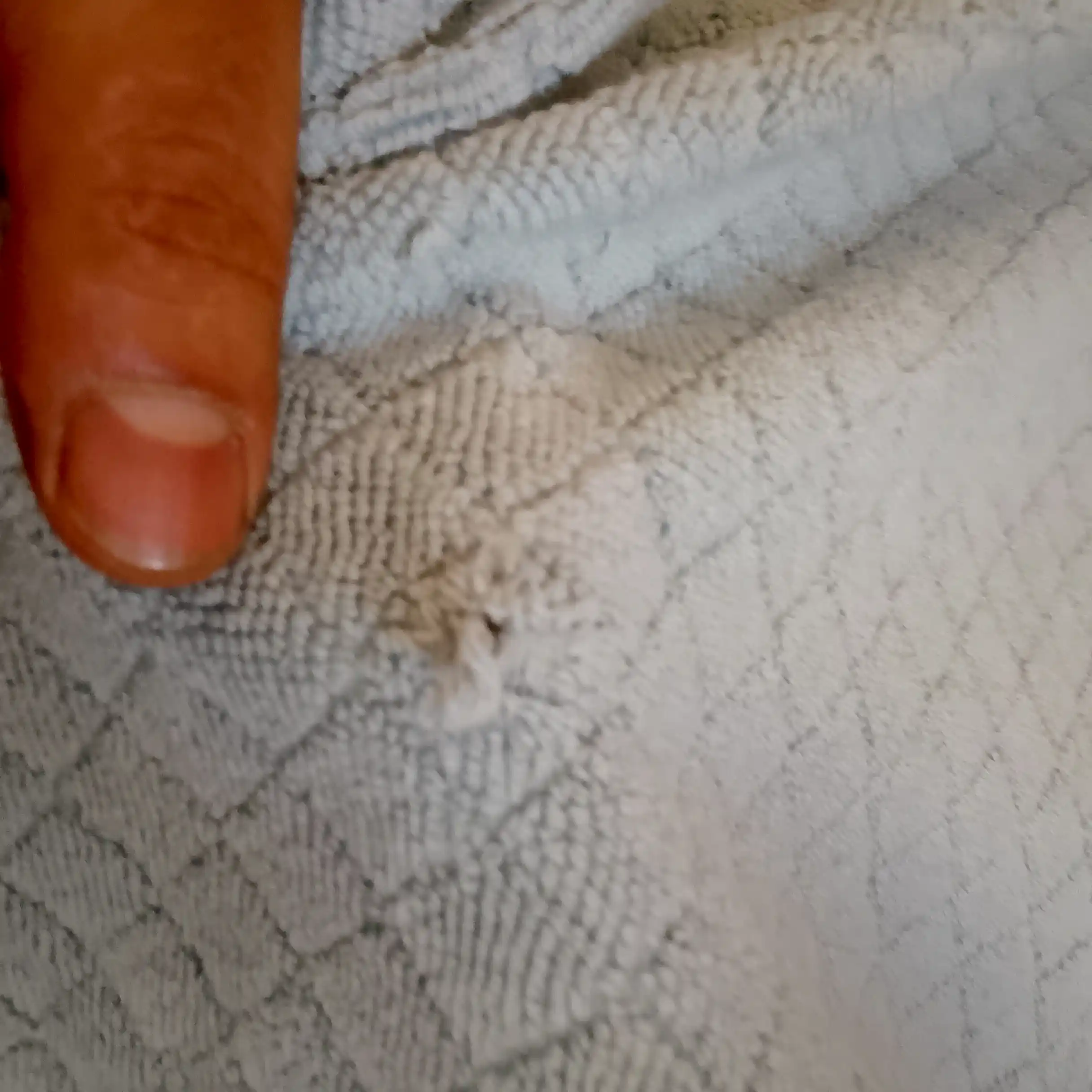 COTTON LIFE полотенце для лица и ванной, 100% хлопок, выбор семьи