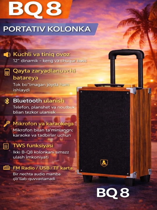 Портативная 8-дюймовая акустическая система B-Q8 с Bluetooth и функцией караоке - 