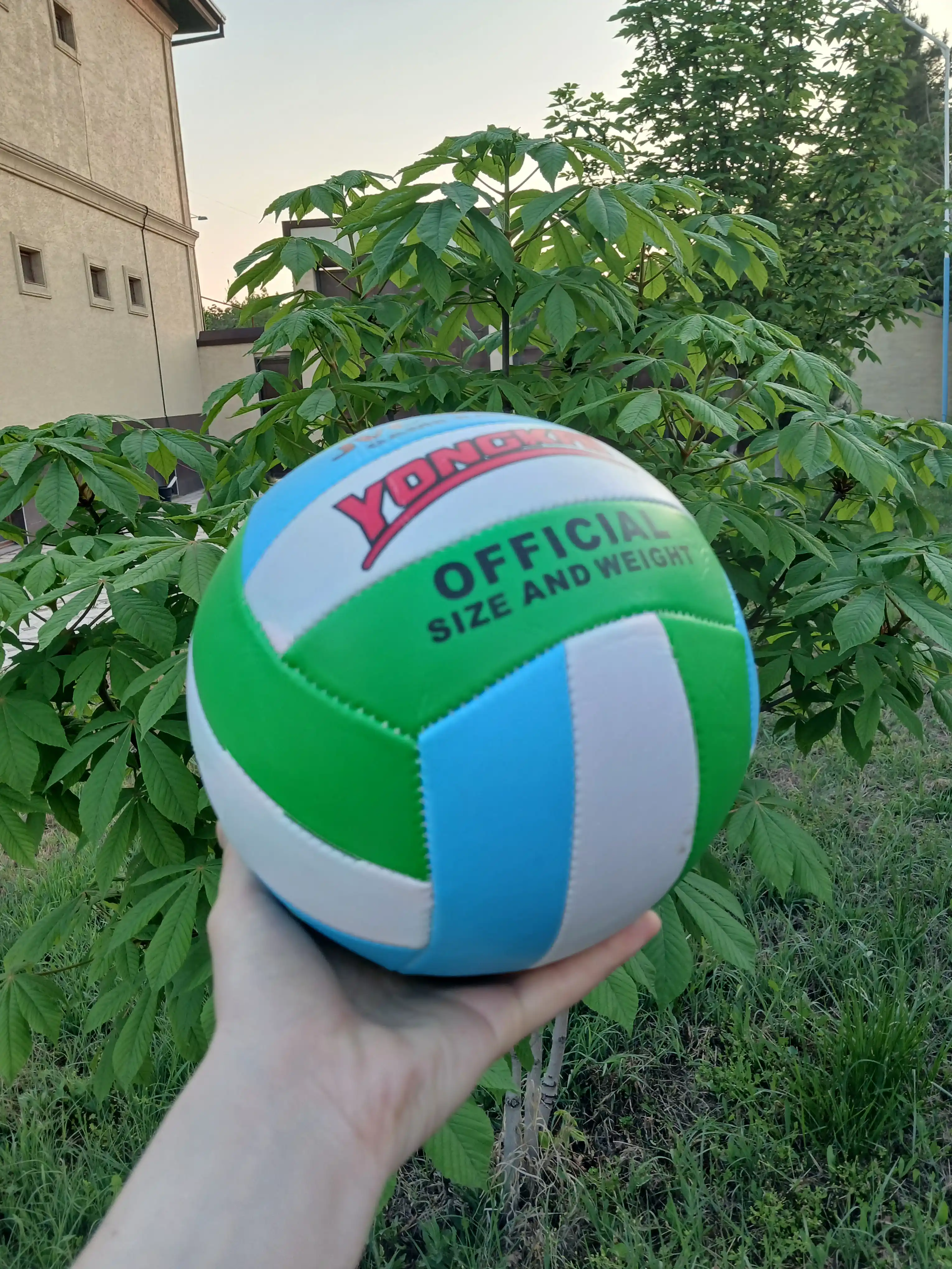 Voleybol toʻpi, nasos va igna sovg'a, sport uchun