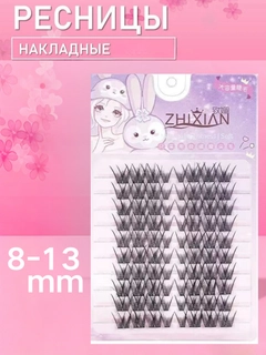 Lavanda