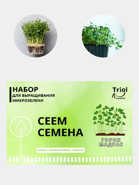 Mikroko'katlar unib chiqish to'plami, urug'lar, zig'ir matosi