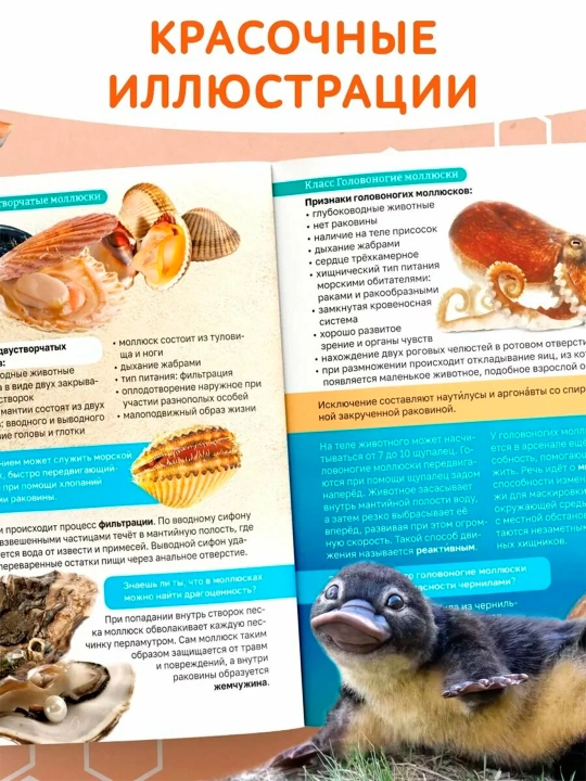 "Bolalar uchun biologiya" yumshoq muqovali ensiklopediya, 68 bet.