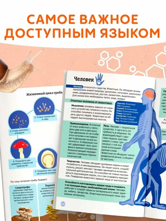 "Bolalar uchun biologiya" yumshoq muqovali ensiklopediya, 68 bet.