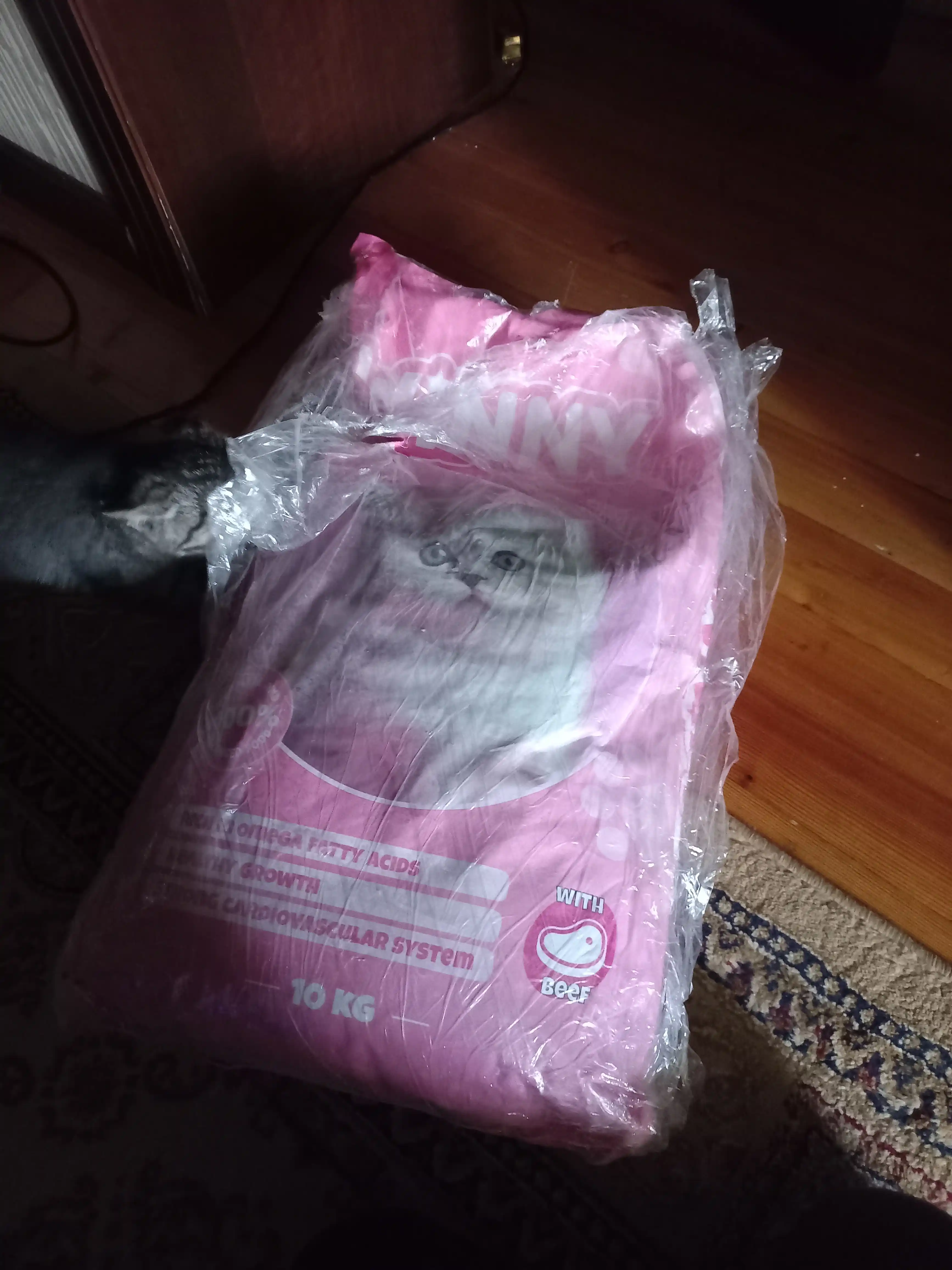 Сухой корм для котят с говядиной Winny , 2кг,10кг, (1-12 месяцев)